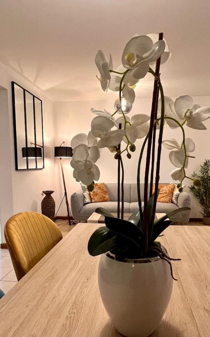 Chez Gerard Appartement Saint Pierre Buitenkant foto