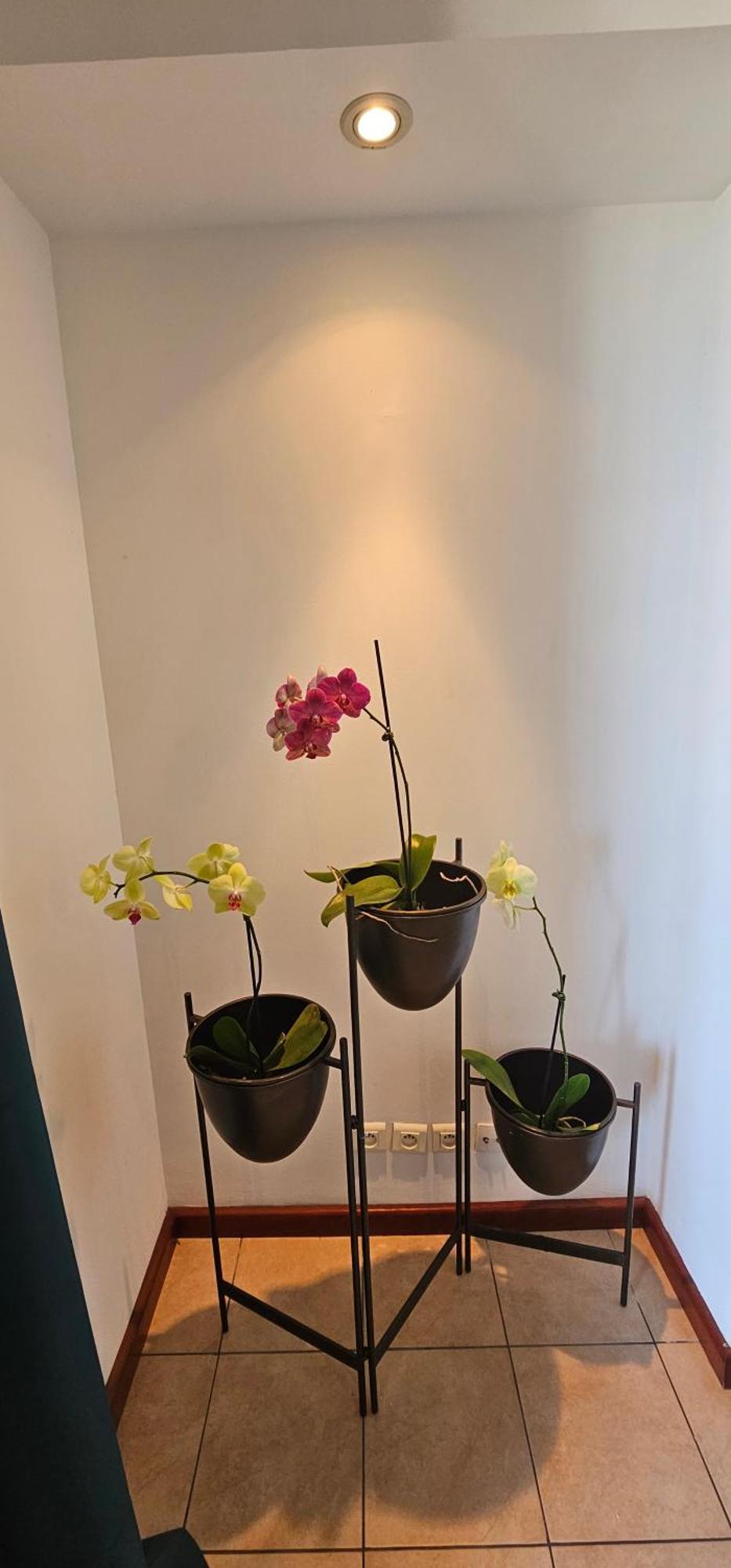 Chez Gerard Appartement Saint Pierre Buitenkant foto